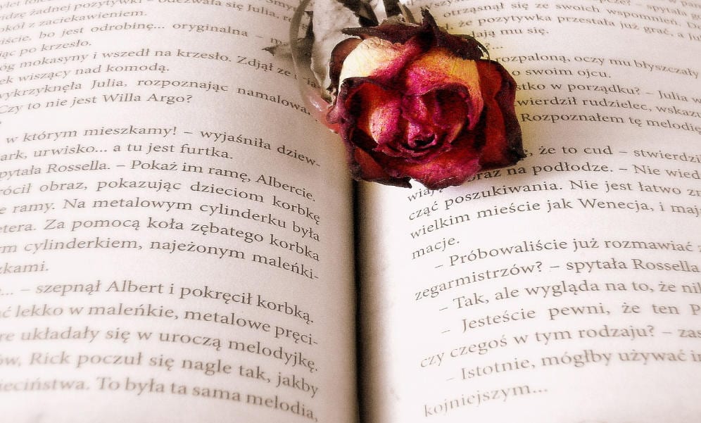 rosa en libro