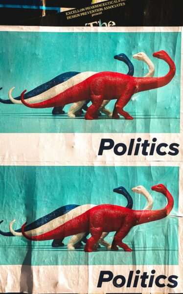 Politics poster