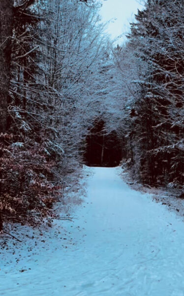 Dinkelsbühl Winter Time