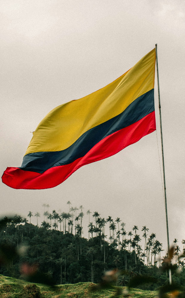 Bandera de Colombia Valle del Cocora, Salento, Quindio, Colombia