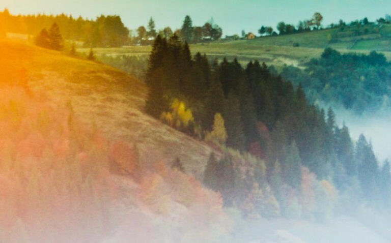 Cerca al Castillo de Bran - Bucarest