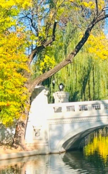 Bucarest - Cișmigiu Gardens