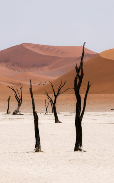 Climate Change